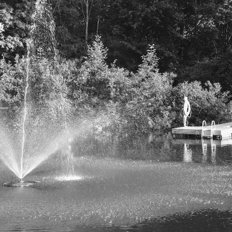 DSCN3347(1)-ANIMATION (1)